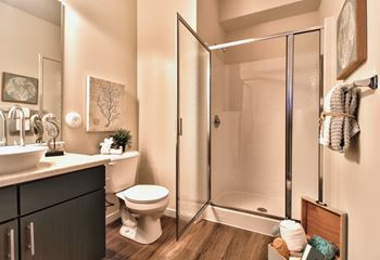 Spacious walk-in & low threshold showers